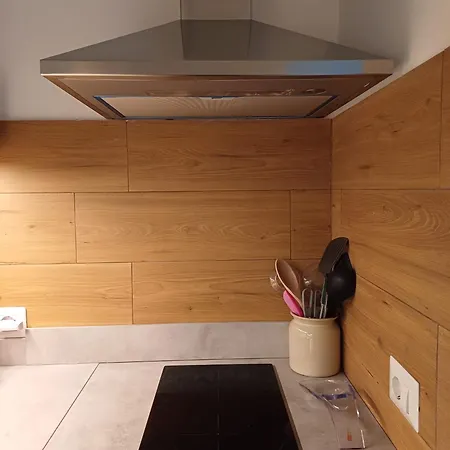 Divine Terrace Stylish St Peter 公寓 罗马