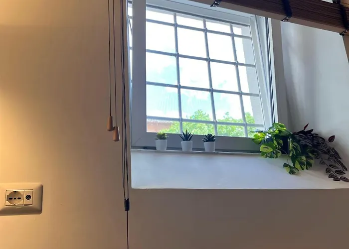 Divine Terrace Stylish St Peter